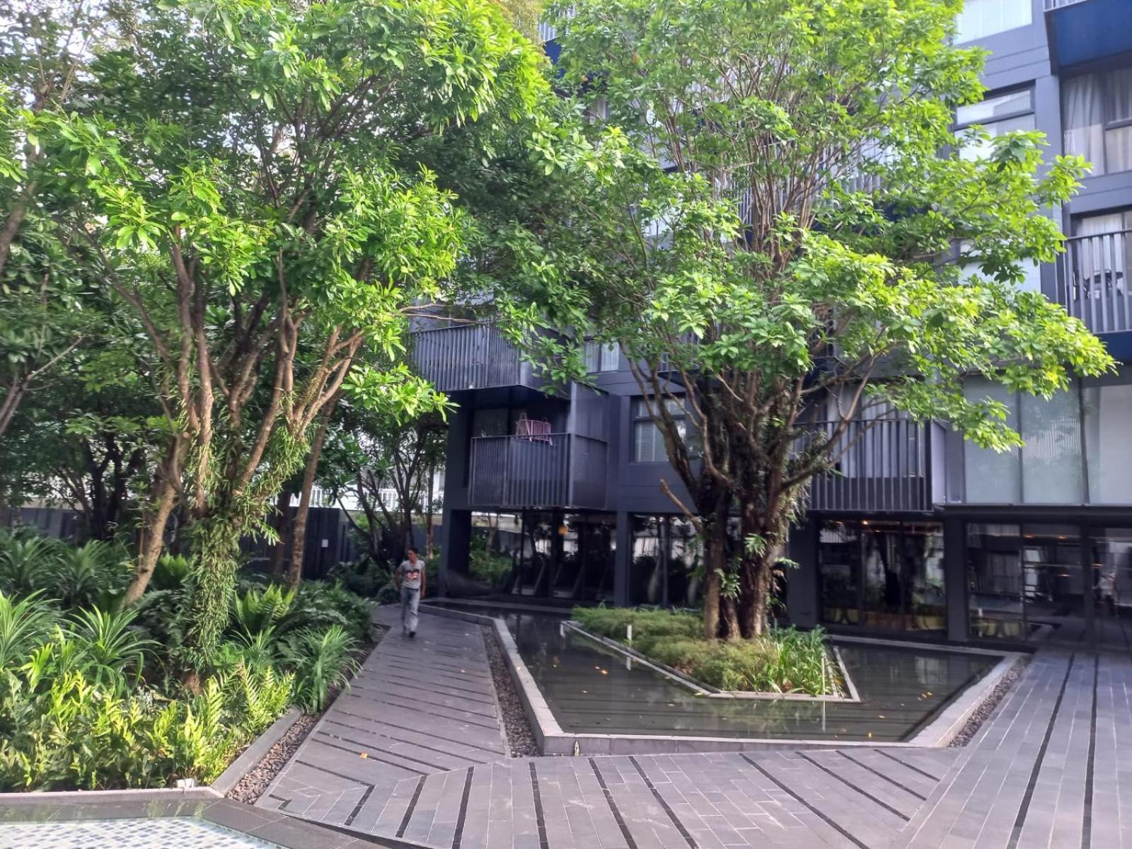 The Deck Condo Patong 7Th Fl Mountain View 2 Exterior photo